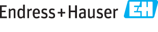 Endress + Hauser logo