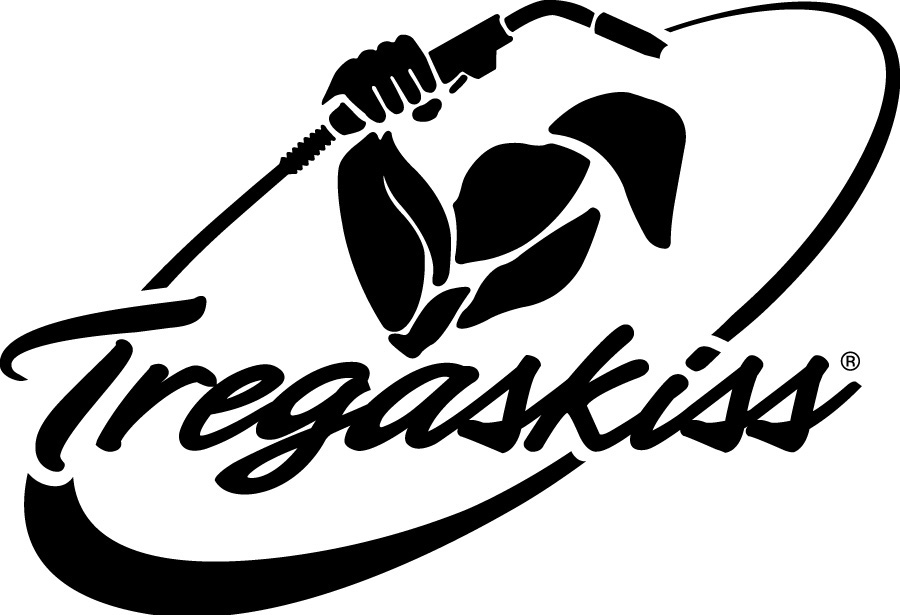 Tregaskiss logo